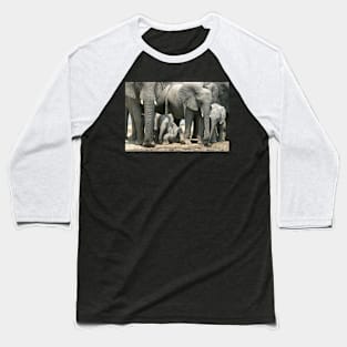 Cute little elephants Baseball T-Shirt